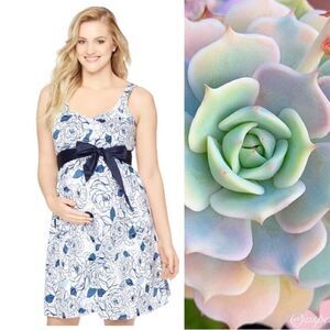 Motherhood Sweetheart Neckline Maternity Dress